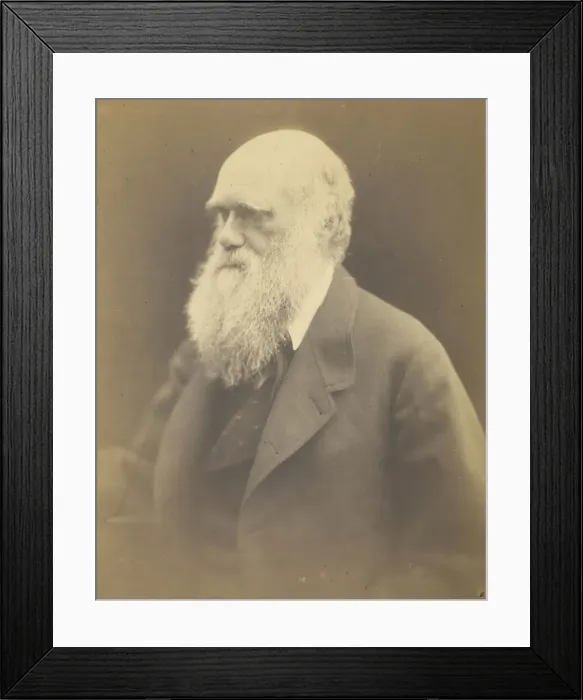 Framed Print : Charles Darwin, 1868. Creator: Julia Margaret Cameron Framed Print : Charles Darwin, 1868. Creator: Julia Margaret Cameron