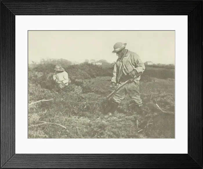 Framed Print : Furze-Cutting on a Suffolk Common, c. 1883 / 87, printed 1888. Creator: Peter Henry Emerson Framed Print : Furze-Cutting on a Suffolk Common, c. 1883 / 87, printed 1888. Creator: Peter Henry Emerson