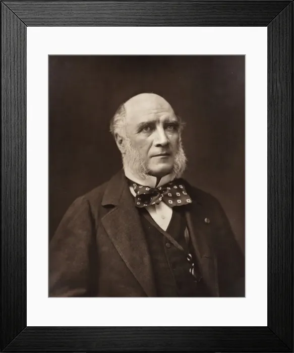 Framed Print : Elie-Louis, duc Decazes (French statesman and diplomat, 1819-1886), c. 1853 / 77. Creator: Nadar Framed Print : Elie-Louis, duc Decazes (French statesman and diplomat, 1819-1886), c. 1853 / 77. Creator: Nadar