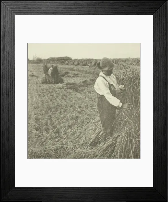 Framed Print : Shocking Corn (Norfolk), c. 1883 / 87, printed 1888. Creator: Peter Henry Emerson Framed Print : Shocking Corn (Norfolk), c. 1883 / 87, printed 1888. Creator: Peter Henry Emerson