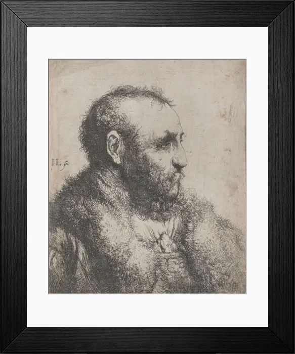 Framed Print : Bust of an Old Man with a Fur Collar, 17th century. Creator: Jan Lievens Framed Print : Bust of an Old Man with a Fur Collar, 17th century. Creator: Jan Lievens