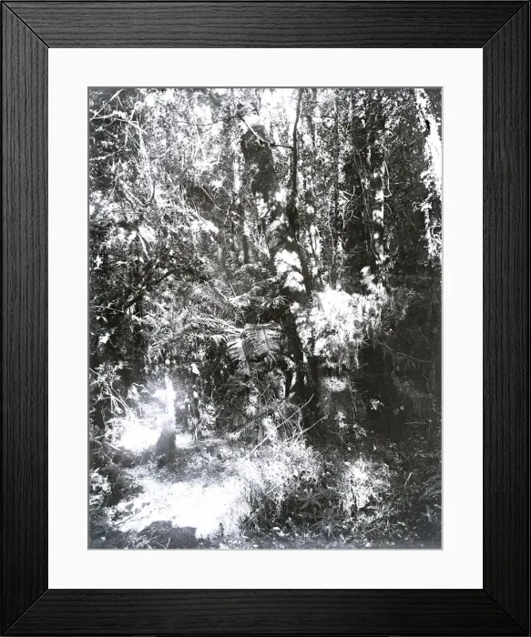 Framed Print : United States Fish Commission Steamer Albatross Framed Print : United States Fish Commission Steamer Albatross