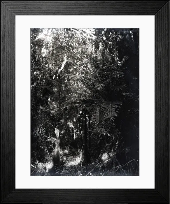 Framed Print : United States Fish Commission Steamer Albatross Framed Print : United States Fish Commission Steamer Albatross