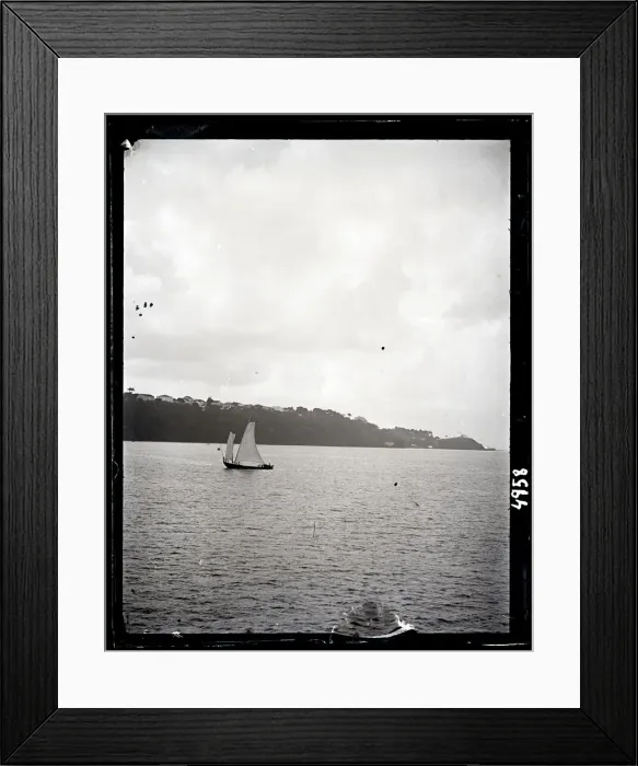 Framed Print : United States Fish Commission Steamer Albatross Framed Print : United States Fish Commission Steamer Albatross