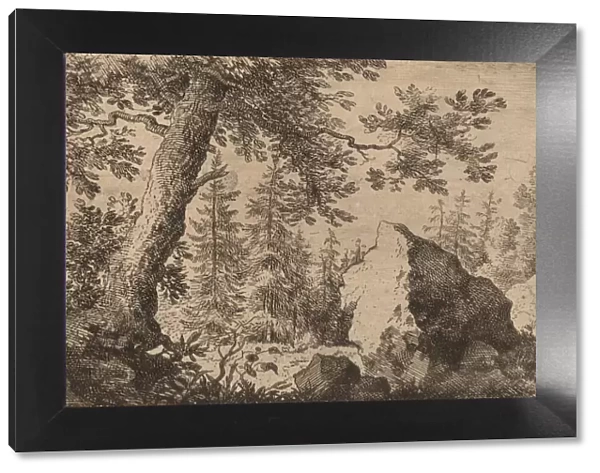 Boulder in the Woods, probably c. 1645  /  1656. Creator: Allart van Everdingen