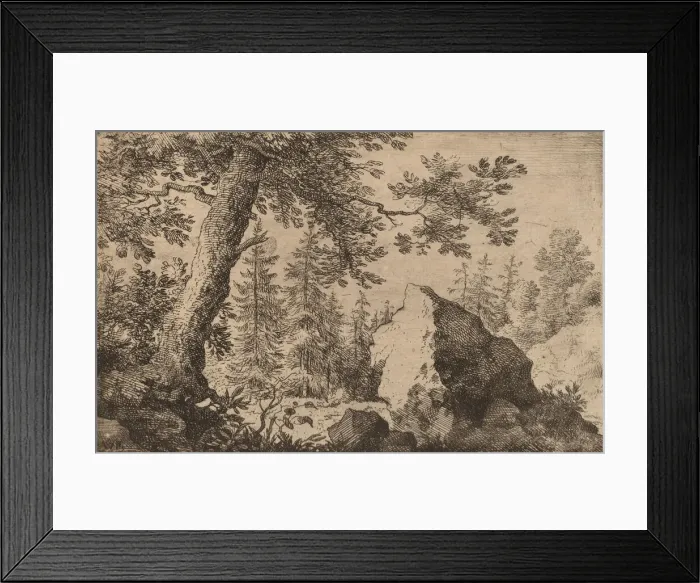 Framed Print : Boulder in the Woods, probably c. 1645 / 1656. Creator: Allart van Everdingen Framed Print : Boulder in the Woods, probably c. 1645 / 1656. Creator: Allart van Everdingen