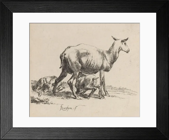 Framed Print : Ewe Nursing Her Lamb. Creator: Nicolaes Berchem Framed Print : Ewe Nursing Her Lamb. Creator: Nicolaes Berchem