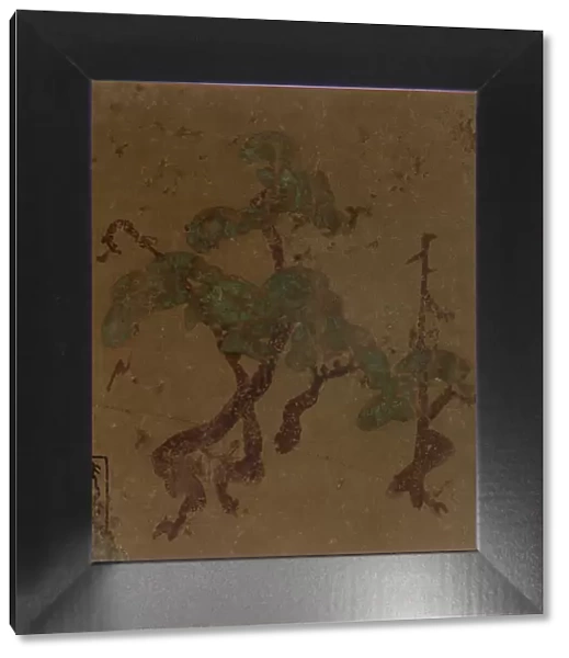 Pine trees, Edo period, late 16th-early 17th century. Creator: Hon'ami Koetsu