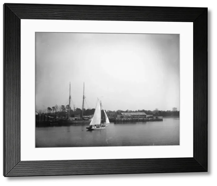 Framed Print : USFC Steamer Albatross'Survey of the Bahamas, 1886 Framed Print : USFC Steamer Albatross'Survey of the Bahamas, 1886
