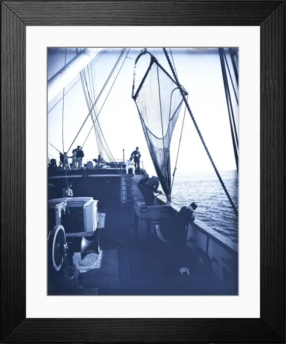 Framed Print : USFC Steamer Albatross'Survey of Fishing Banks from Newport to Newfoundland Framed Print : USFC Steamer Albatross'Survey of Fishing Banks from Newport to Newfoundland