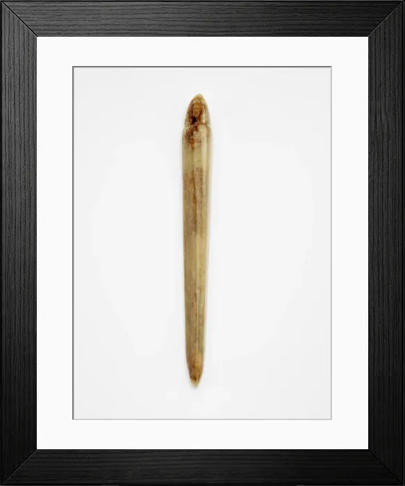 Framed Print : Tapered pendant, Late Neolithic period, ca. 3300-2250 BCE. Creator: Unknown Framed Print : Tapered pendant, Late Neolithic period, ca. 3300-2250 BCE. Creator: Unknown
