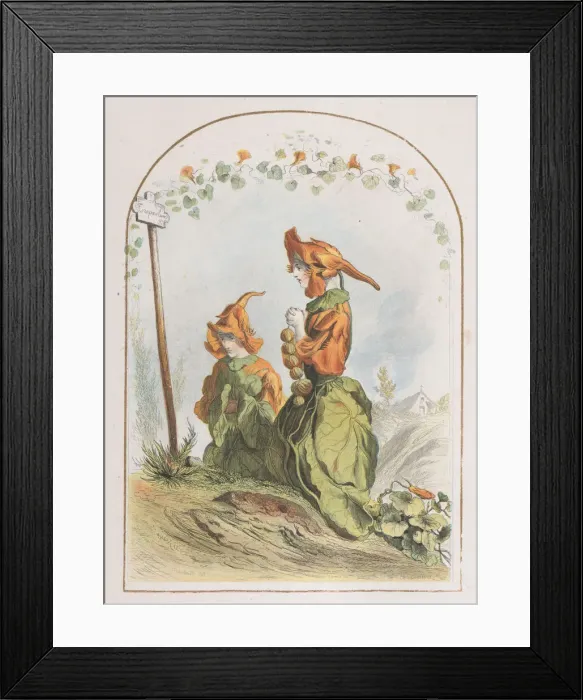 Framed Print : Capucine, from Les Fleurs Animees, 1820-70. 1820-70 Framed Print : Capucine, from Les Fleurs Animees, 1820-70. 1820-70