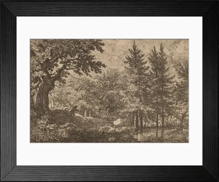 Framed Print : Fir Trees at the Water, probably c. 1645 / 1656. Creator: Allart van Everdingen Framed Print : Fir Trees at the Water, probably c. 1645 / 1656. Creator: Allart van Everdingen
