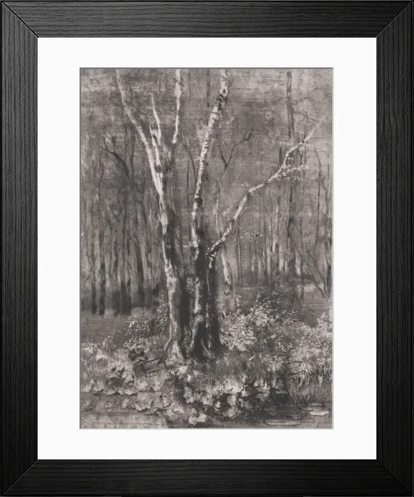 Framed Print : Woods in the Park near Monza, 1895. Creator: Mose, Bianchi Framed Print : Woods in the Park near Monza, 1895. Creator: Mose, Bianchi