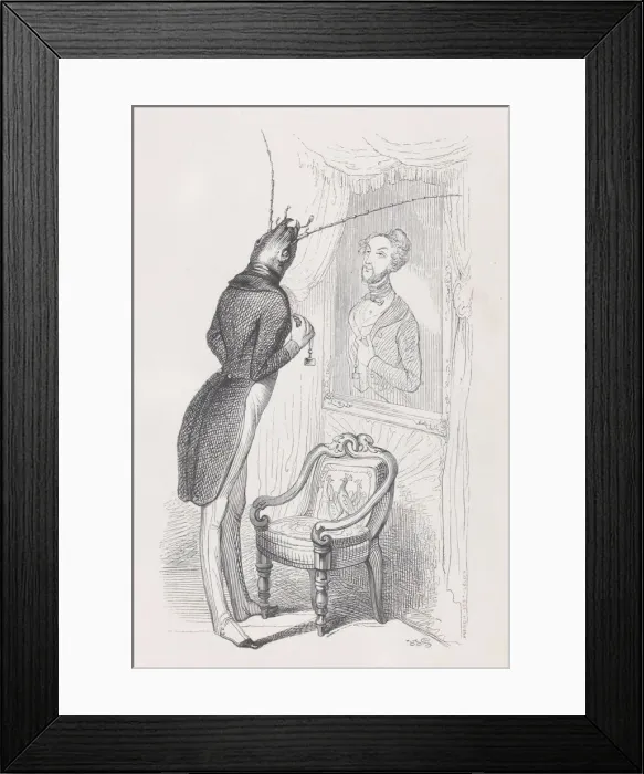 Framed Print : A very well put insect and beautiful dancer from Scenes from the Private and Public Framed Print : A very well put insect and beautiful dancer from Scenes from the Private and Public