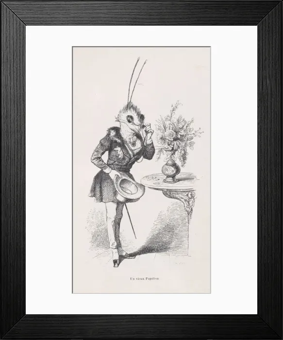 Framed Print : An Old Butterfly from Scenes from the Private and Public Life of Animals, ca. 1837-47 Framed Print : An Old Butterfly from Scenes from the Private and Public Life of Animals, ca. 1837-47