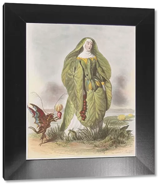 Nenuphar, from Les Fleurs Animees, 1847. Creator: Charles-Michel Geoffroy