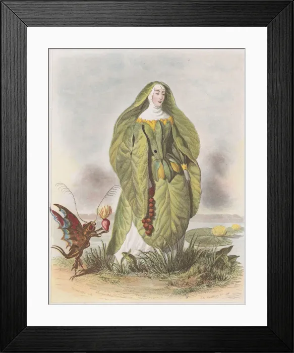 Framed Print : Nenuphar, from Les Fleurs Animees, 1847. Creator: Charles-Michel Geoffroy Framed Print : Nenuphar, from Les Fleurs Animees, 1847. Creator: Charles-Michel Geoffroy