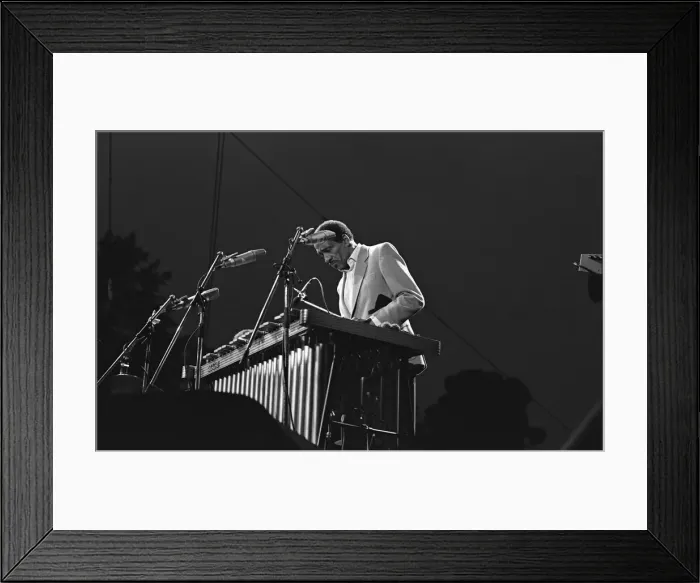 Framed Print : Milt Jackson, Capital Jazz Festival, Knebworth, Herts, 7 / 82. Creator: Brian O Connor Framed Print : Milt Jackson, Capital Jazz Festival, Knebworth, Herts, 7 / 82. Creator: Brian O Connor