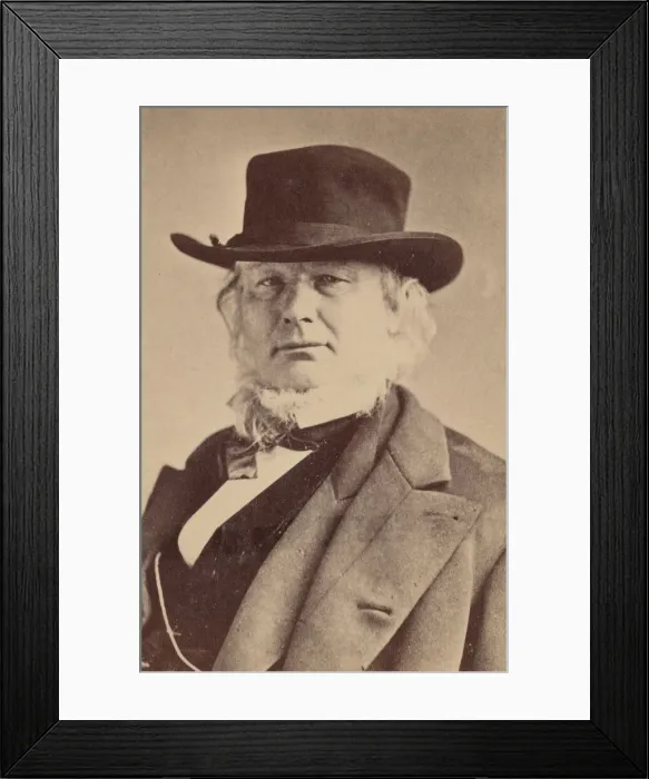 Framed Print : Portrait of Horace Greeley (1811-1872), 1869. Creator: Napoleon Sarony Framed Print : Portrait of Horace Greeley (1811-1872), 1869. Creator: Napoleon Sarony