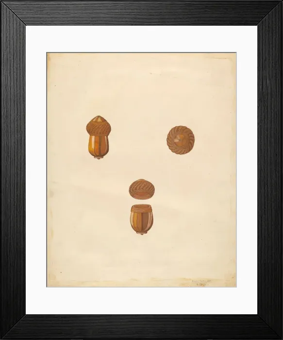 Framed Print : Snuff Box, 1936. Creator: Marie Famularo Framed Print : Snuff Box, 1936. Creator: Marie Famularo