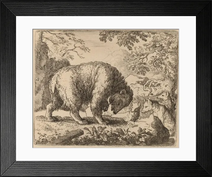 Framed Print : The Bear Distracted with Talk of Honey, probably c. 1645 / 1656 Framed Print : The Bear Distracted with Talk of Honey, probably c. 1645 / 1656