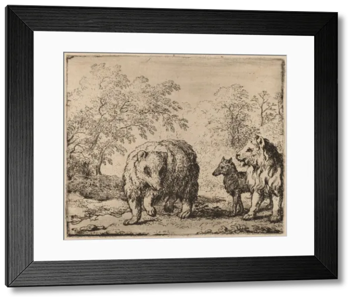 Framed Print : The Lion Frees the Bear and the Wolf, probably c. 1645 / 1656 Framed Print : The Lion Frees the Bear and the Wolf, probably c. 1645 / 1656