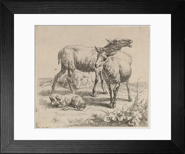 Framed Print : Three Sheep and a Lamb. Creator: Nicolaes Berchem Framed Print : Three Sheep and a Lamb. Creator: Nicolaes Berchem