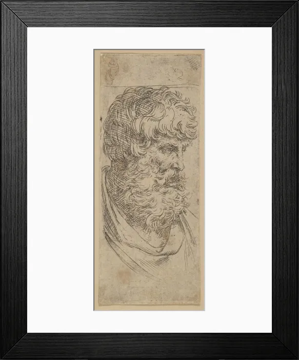 Framed Print : Bust of a bearded man, ca. 1600-1640. Creator: Guido Reni Framed Print : Bust of a bearded man, ca. 1600-1640. Creator: Guido Reni