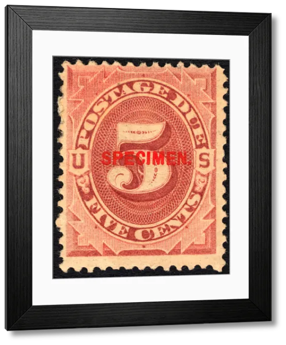 Framed Print : 5c Postage Due specimen overprint single, 1884. Creator: Unknown