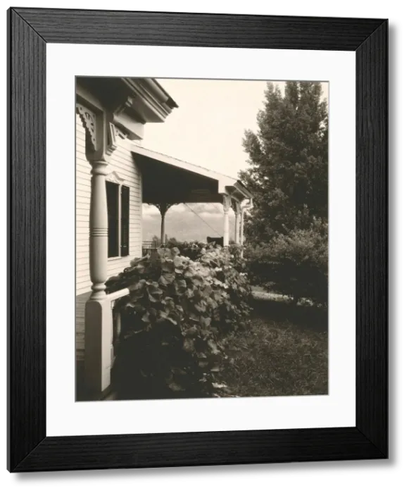 Framed Print : House and Grape Leaves, 1934. Creator: Alfred Stieglitz Framed Print : House and Grape Leaves, 1934. Creator: Alfred Stieglitz