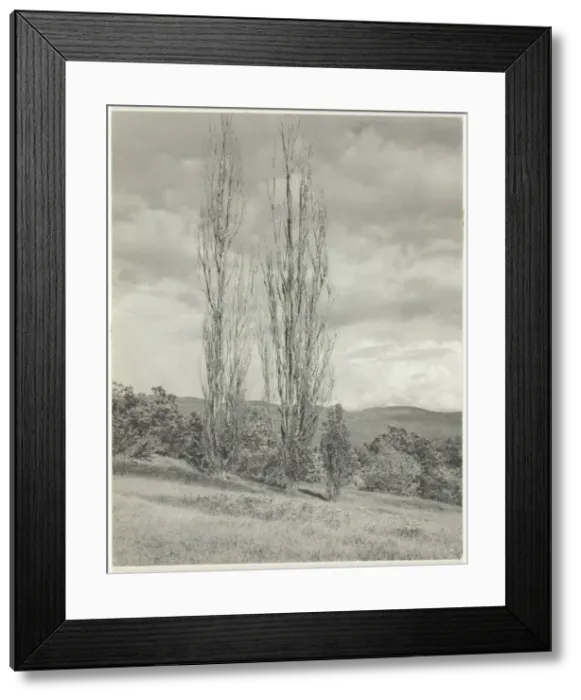 Framed Print : Poplars-Lake George, 1935. Creator: Alfred Stieglitz Framed Print : Poplars-Lake George, 1935. Creator: Alfred Stieglitz