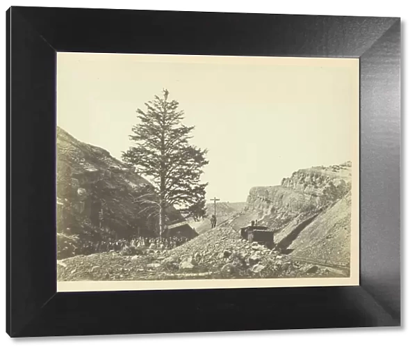 Thousand Mile Tree, Wilhelmina's Pass, 1868 / 69. Creator: Andrew Joseph Russell