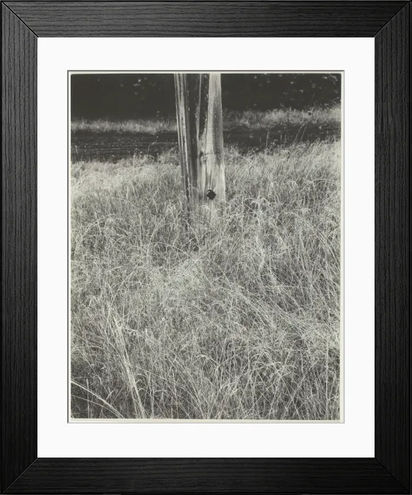 Framed Print : Grass and Flagpole, 1933. Creator: Alfred Stieglitz Framed Print : Grass and Flagpole, 1933. Creator: Alfred Stieglitz