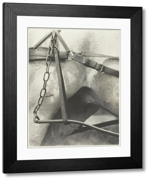 Framed Print : Equivalent, Spiritual America, 1923. Creator: Alfred Stieglitz Framed Print : Equivalent, Spiritual America, 1923. Creator: Alfred Stieglitz