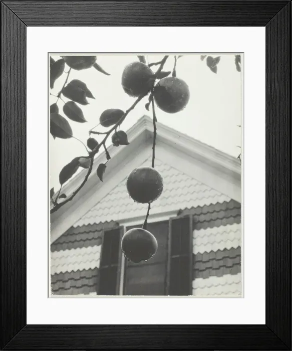 Framed Print : Gable and Apples, 1922. Creator: Alfred Stieglitz Framed Print : Gable and Apples, 1922. Creator: Alfred Stieglitz