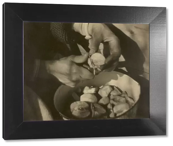 Georgia O Keeffe - Hands, 1920  /  22. Creator: Alfred Stieglitz