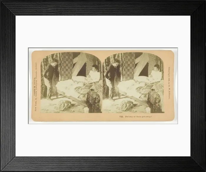 Framed Print : Did any of them get away?, 1893. Creator: BW Kilburn Framed Print : Did any of them get away?, 1893. Creator: BW Kilburn
