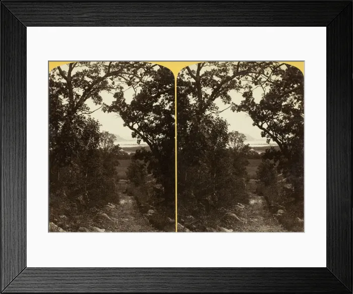 Framed Print : Down the old Quarry Road near Frontenac on Lake Pepn, 1870 / 1908 Framed Print : Down the old Quarry Road near Frontenac on Lake Pepn, 1870 / 1908