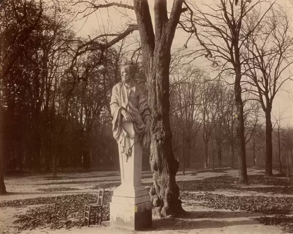 Versailles, Coin de Parc, 1904. Creator: Eugene Atget