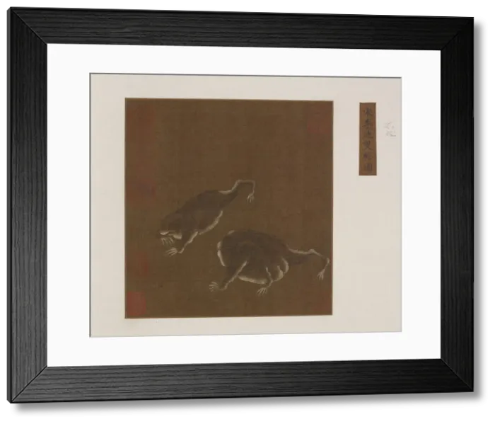 Framed Print : A Pair of Three-legged Toads, Ming dynasty, 1368-1644. Creator: Unknown Framed Print : A Pair of Three-legged Toads, Ming dynasty, 1368-1644. Creator: Unknown