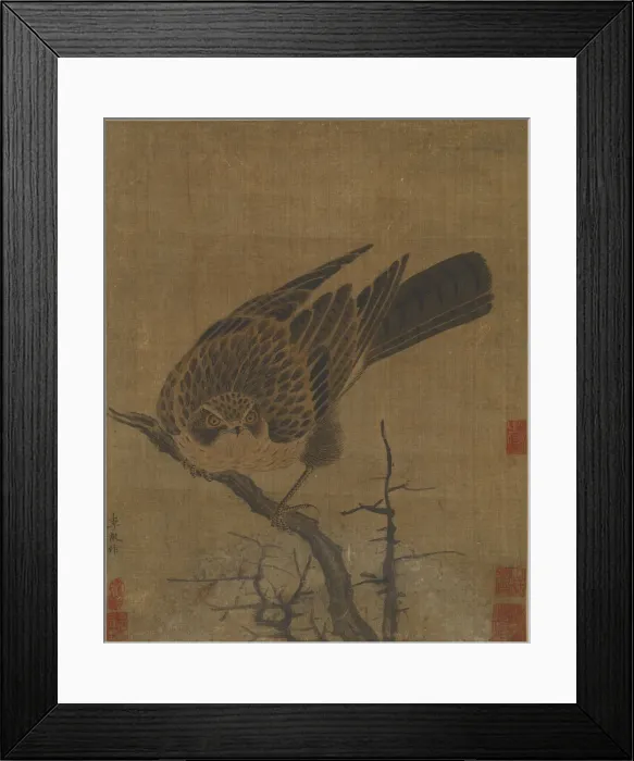 Framed Print : Hawk on a leafless branch, Possibly Yuan dynasty, 1279-1368. Creator: Unknown Framed Print : Hawk on a leafless branch, Possibly Yuan dynasty, 1279-1368. Creator: Unknown