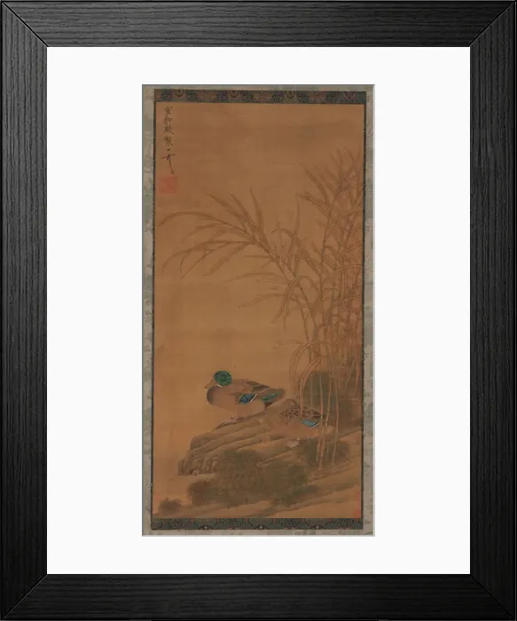 Framed Print : Two ducks among reeds at the waters edge, Ming or Qing dynasty, 15th-18th century Framed Print : Two ducks among reeds at the waters edge, Ming or Qing dynasty, 15th-18th century