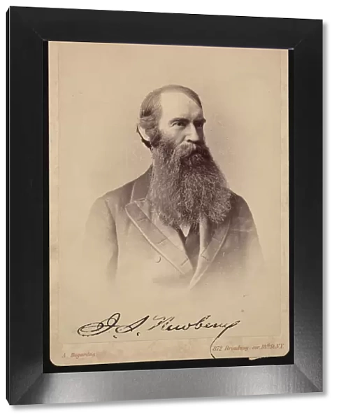 Portrait of John Strong Newberry (1822-1892), Between 1876 and 1887