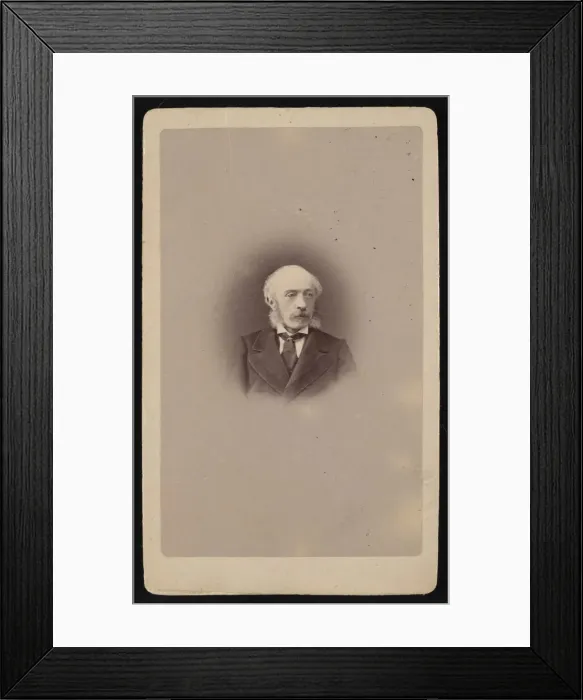 Framed Print : Portrait of Emilio Cornalia (1824-1882), Before 1876. Creator: Giulio Rossi