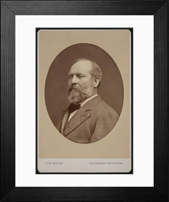 Framed Print : Portrait of James Abram Garfield (1831-1881), June 1880. Creator: Thomas William Smillie Framed Print : Portrait of James Abram Garfield (1831-1881), June 1880. Creator: Thomas William Smillie