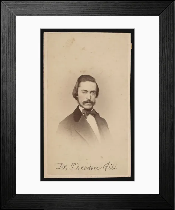 Framed Print : Portrait of Theodore Nicholas Gill (1837-1914), Circa 1860s. Creator: Unknown Framed Print : Portrait of Theodore Nicholas Gill (1837-1914), Circa 1860s. Creator: Unknown