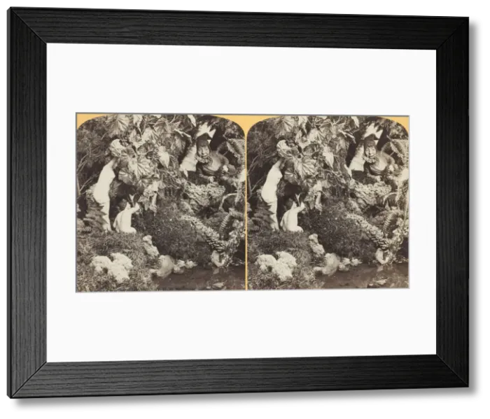 Framed Print : Frightened most to death, 1870 / 89. Creator: Henry Hamilton Bennett Framed Print : Frightened most to death, 1870 / 89. Creator: Henry Hamilton Bennett