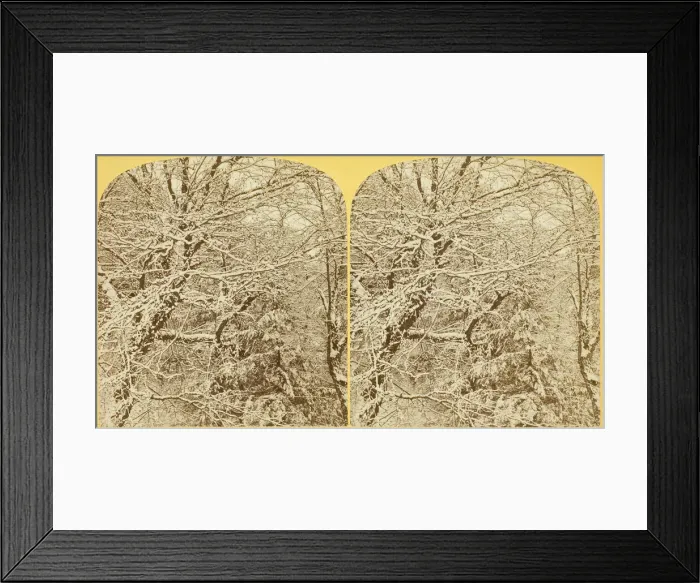 Framed Print : A Winters Morning. Among the Boughs, 1870 / 1908. Creator: Henry Hamilton Bennett Framed Print : A Winters Morning. Among the Boughs, 1870 / 1908. Creator: Henry Hamilton Bennett