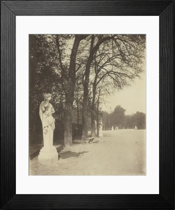Framed Print : Versailles, Coin de Parc, 1904. Creator: Eugene Atget Framed Print : Versailles, Coin de Parc, 1904. Creator: Eugene Atget